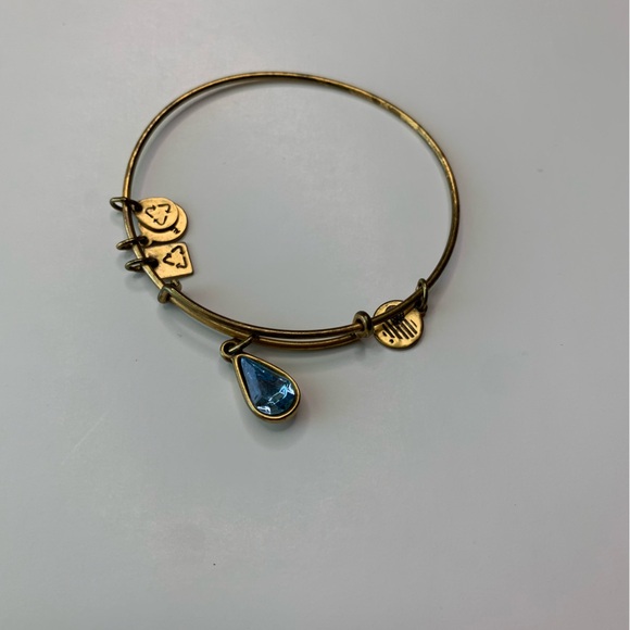 Alex and Ani Blue Charm Bracelet - Picture 1 of 2